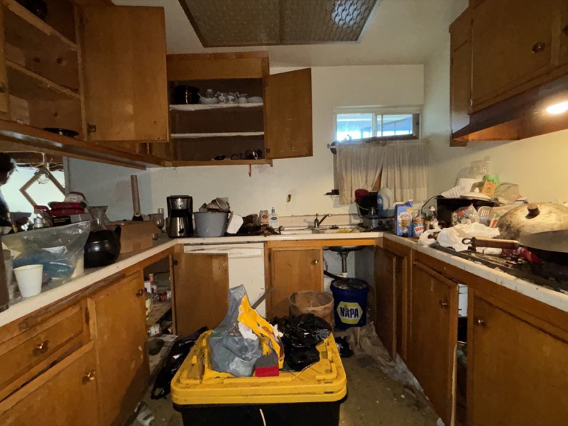 Kitchen Cleanout